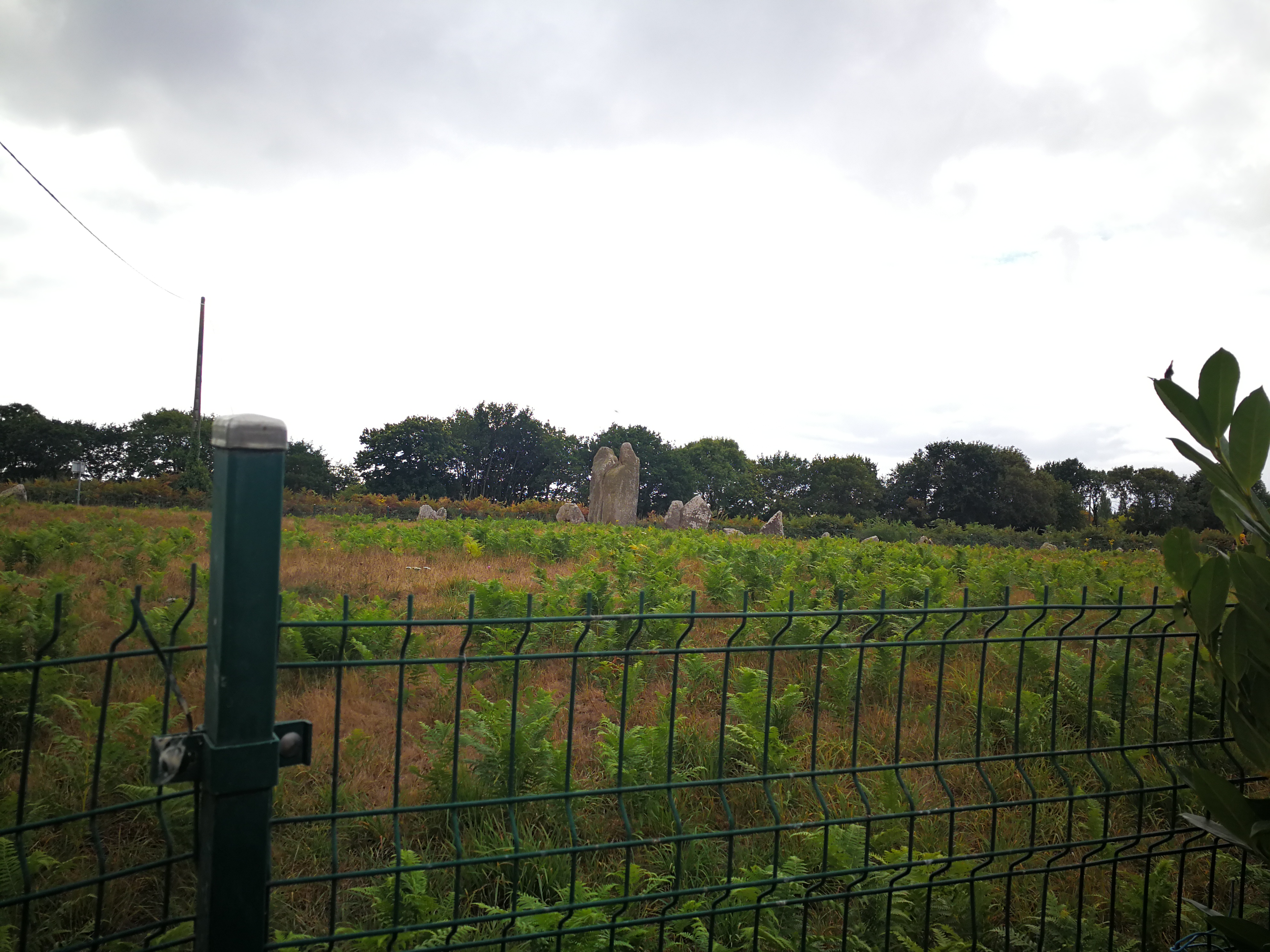 Photo n° 3 de l'avis de djék.a fait le 13/09/2018 à 06:04