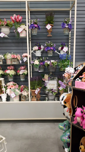 Craft Store «Michaels», reviews and photos, 4830 Wilson Ave SW #400, Grandville, MI 49418, USA