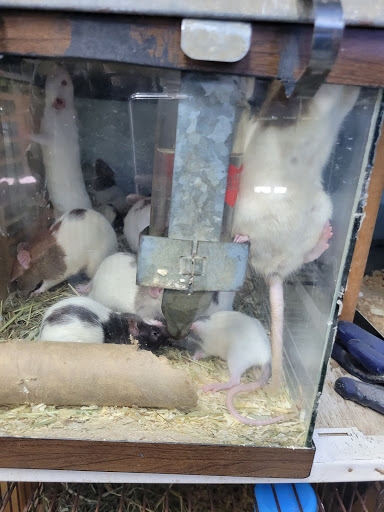 Tropical Fish Store «Emmons Tropical Fish & Ponds», reviews and photos, 1612 Hopmeadow St, Simsbury, CT 06070, USA