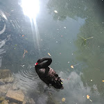 Photo n°5 de l'avis de Mar.a fait le 10/10/2020 à 18:31 sur le  La Sorgente à Sermoneta