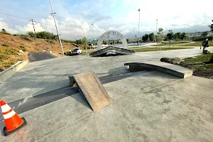 Frisbie Skatepark image