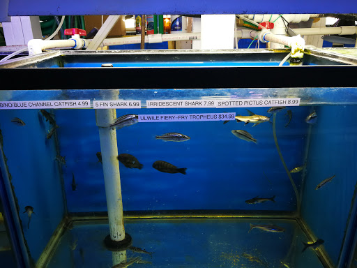 Pet Store «Pet City», reviews and photos, 2119 Collier Pkwy, Land O Lakes, FL 34639, USA