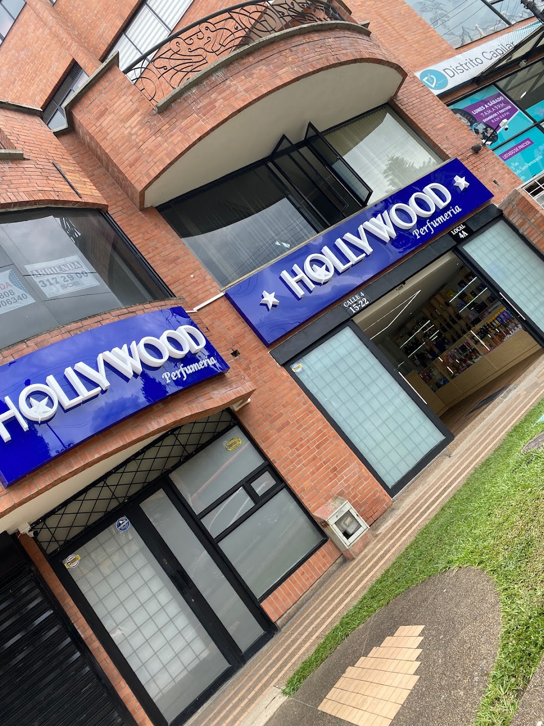 Hollywood perfumeria pereira