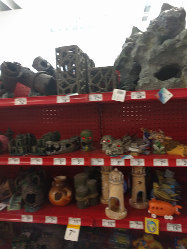 Pet Supply Store «Petco Animal Supplies», reviews and photos, 516 Valley Mall Pkwy, East Wenatchee, WA 98802, USA