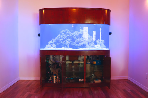 Tropical Fish Store «LE Corals Saltwater Aquarium Showroom», reviews and photos, 3414 S 48th St #2, Phoenix, AZ 85040, USA