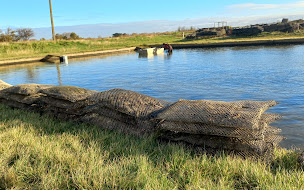 Photo n°8 de Huîtres Caillon Gaté à Yves ()