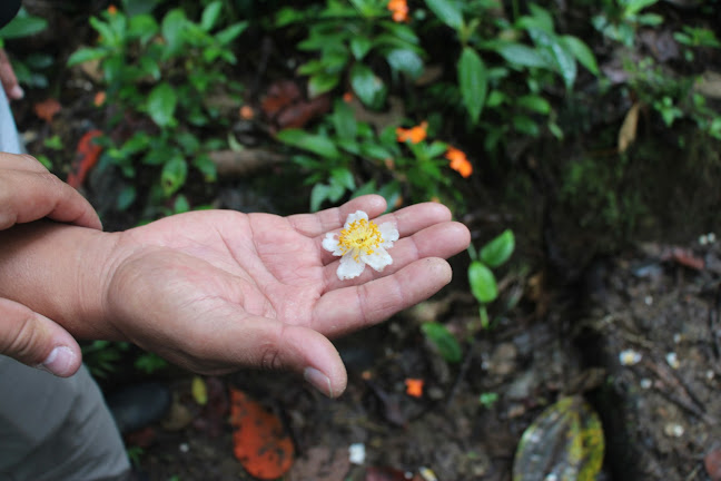 Mindo Cloud Forest.com - Sangolquí