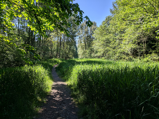 Park «Lord Hill Park», reviews and photos, 12921 150th St SE, Snohomish, WA 98290, USA