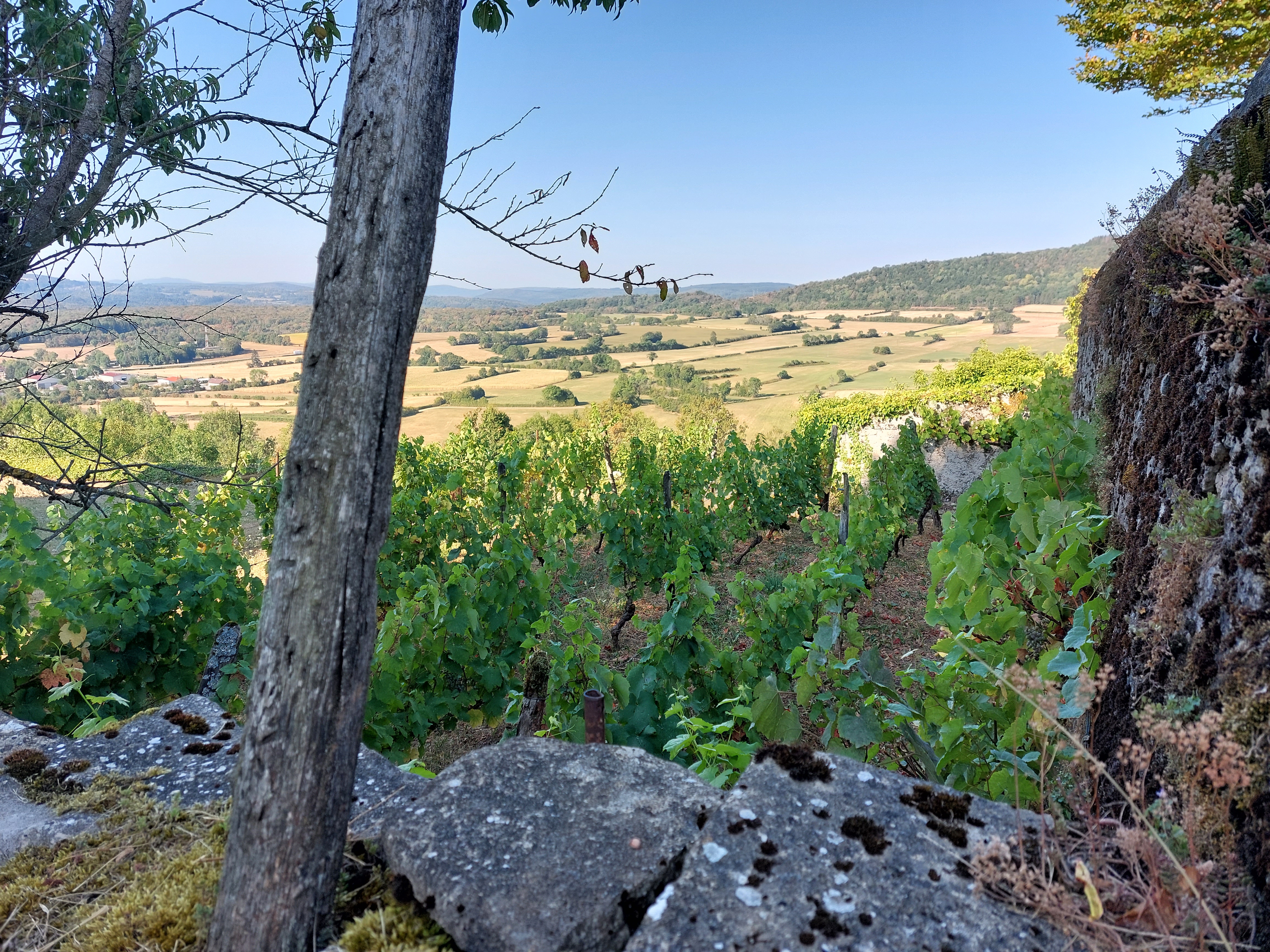 Photo n° 4 de l'avis de Nicolas.m fait le 18/08/2022 à 15:51