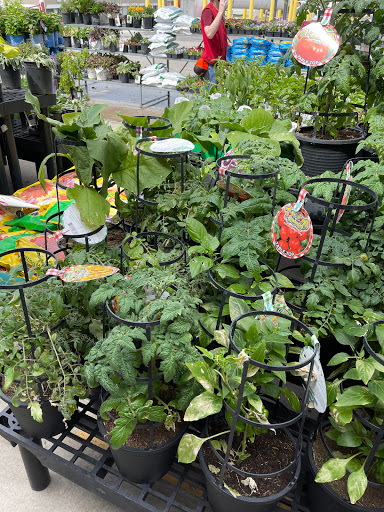 Hardware Store «Westlake Ace Hardware», reviews and photos, 10130 E State Rte 350, Raytown, MO 64138, USA