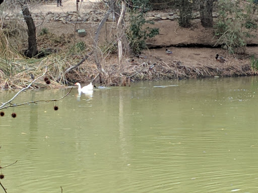 Descanso Gardens image