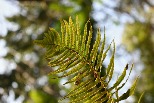 Park «Marine View Park», reviews and photos, 20945 Marine View Dr SW, Normandy Park, WA 98166, USA