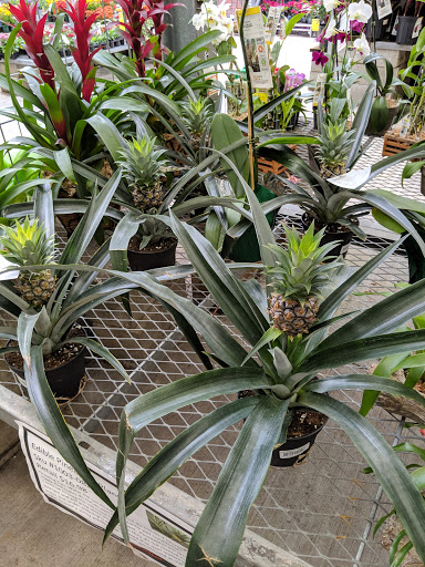 Home Improvement Store «The Home Depot», reviews and photos, 60 SW 12th Ave, Deerfield Beach, FL 33442, USA