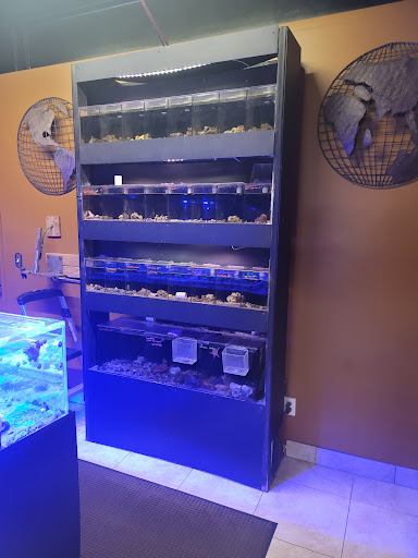Tropical Fish Store «Aquatic Evolution LLC», reviews and photos, 23 1330 W, Orem, UT 84057, USA