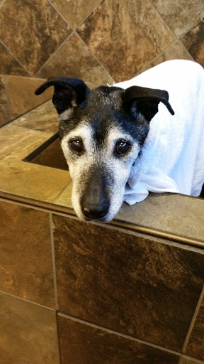 Pet Store «Pet Valu», reviews and photos, 217 Lancaster Ave, Ardmore, PA 19003, USA