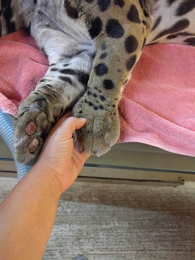 Tourist Attraction «Panther Ridge Conservation Center», reviews and photos, 14755 Palm Beach Point Blvd, Wellington, FL 33414, USA