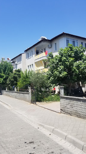 Fethiye Asistan Hizmetleri