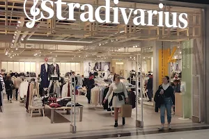 Stradivarius image