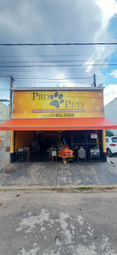 Logo da empresa - Pro Pets