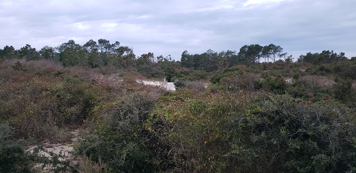 Army & Navy Surplus Shop «Navy Exchange-Dam Neck Annex», reviews and photos, 1977 Terrier Ave, Virginia Beach, VA 23461, USA