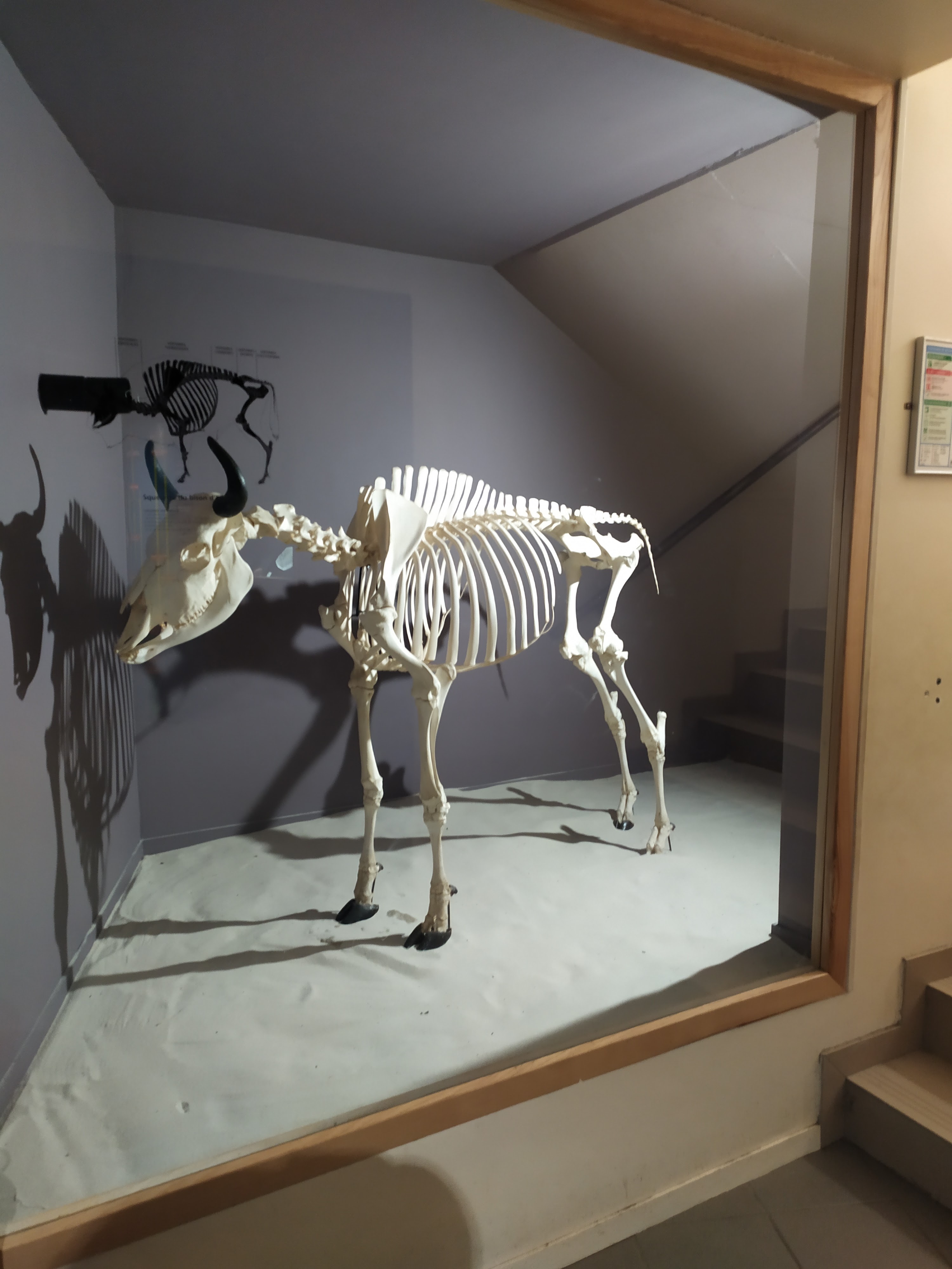 Photo n° 7 de l'avis de Angel.� fait le 19/08/2023 à 17:20