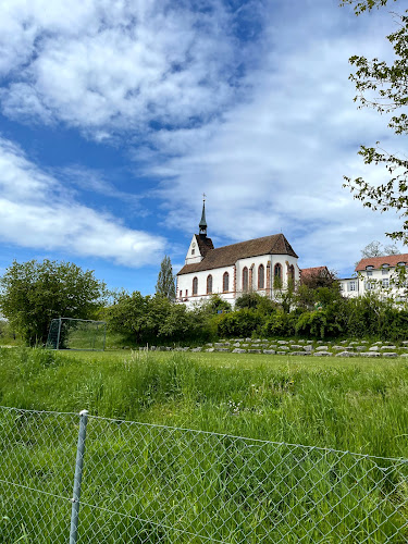 Kommentare und Rezensionen über Theologisches Seminar St. Chrischona (tsc)