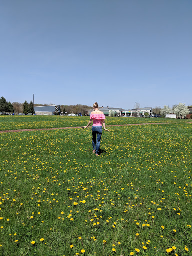 Movie Theater «Celebration! Cinema Grand Rapids North & IMAX», reviews and photos, 2121 Celebration Dr NE, Grand Rapids, MI 49525, USA