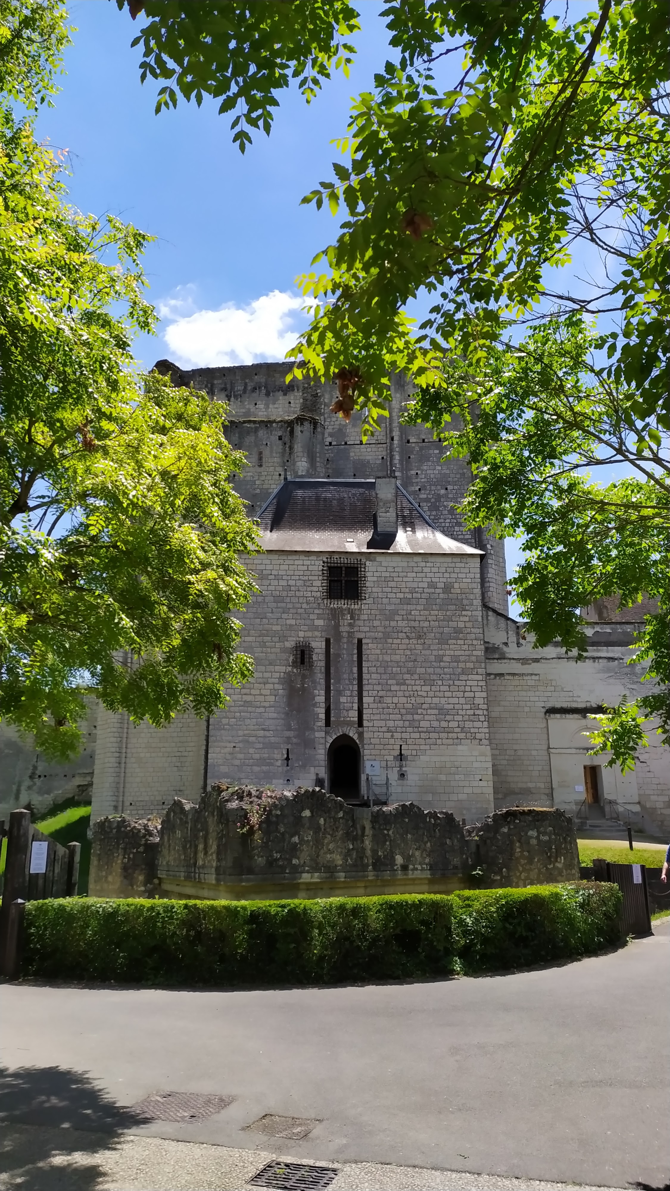 Photo n° 11 de l'avis de R. fait le 01/06/2019 à 06:33