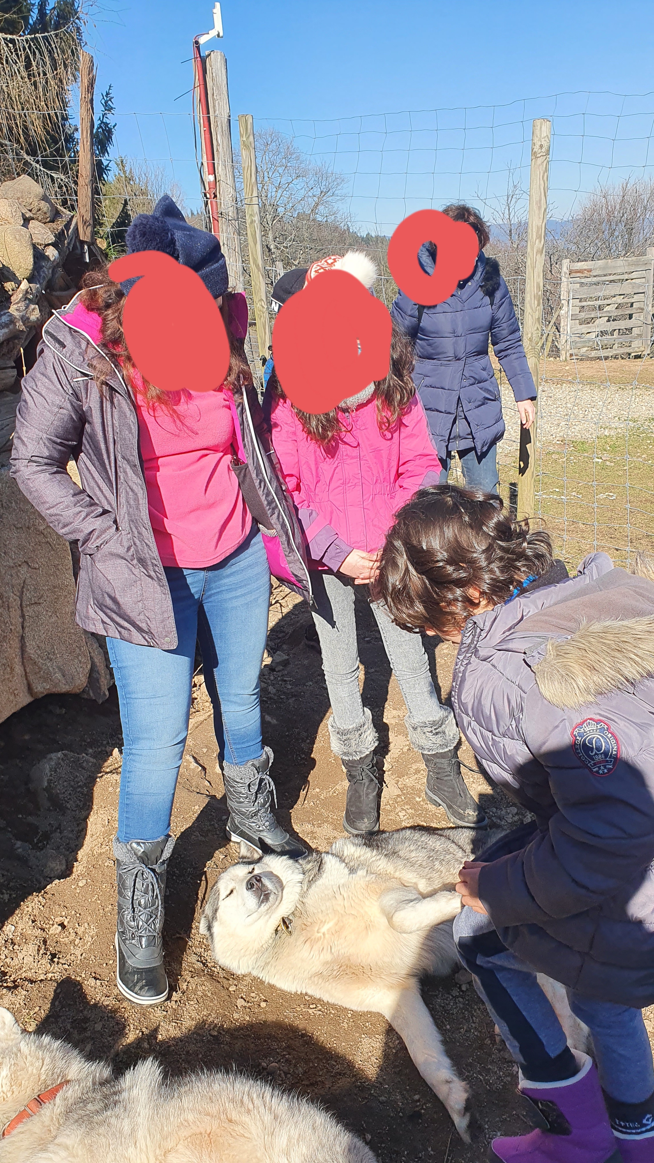 Photo n° 1 de l'avis de Safirius.a fait le 06/03/2021 à 16:57