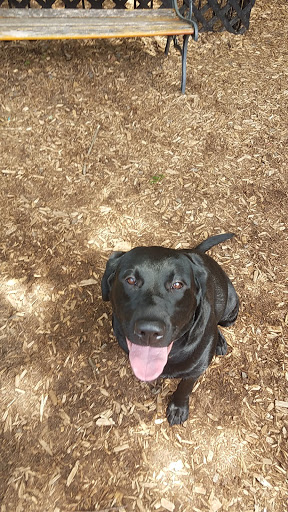 Pet Supply Store «The Hungry Puppy», reviews and photos, 1288 NJ-33, Farmingdale, NJ 07727, USA