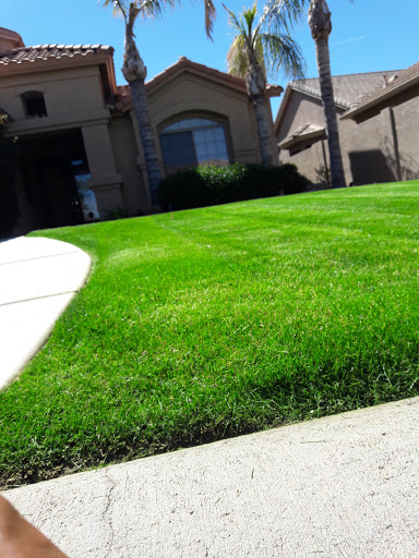 Golf Course «Oakwood Golf Course», reviews and photos, 9649 E Ej Robson Blvd, Sun Lakes, AZ 85248, USA