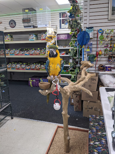 Pet Store «Discount Pet & Supplies», reviews and photos, 16320 Middlebelt Rd, Livonia, MI 48154, USA