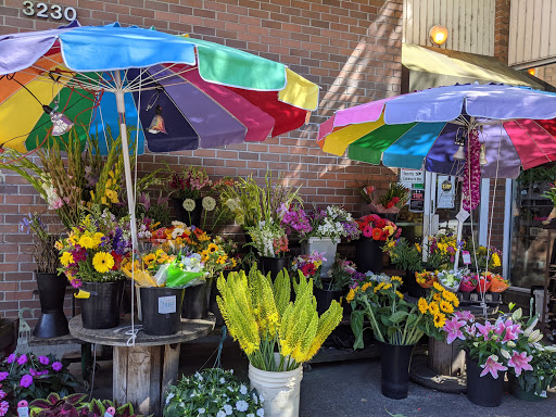Florist «The Flower Lady», reviews and photos, 3230 Eastlake Ave C, Seattle, WA 98102, USA