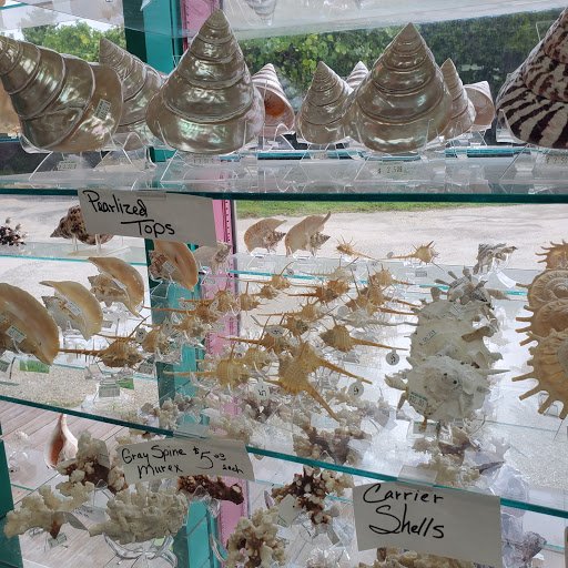 Gift Shop «She Sells Sea Shells», reviews and photos, 1157 Periwinkle Way, Sanibel, FL 33957, USA