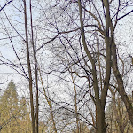 Photo n°1 de l'avis de unterwegs_.m fait le 16/04/2023 à 16:02 sur le  Waltersdorfer Mühle à Bad Schandau