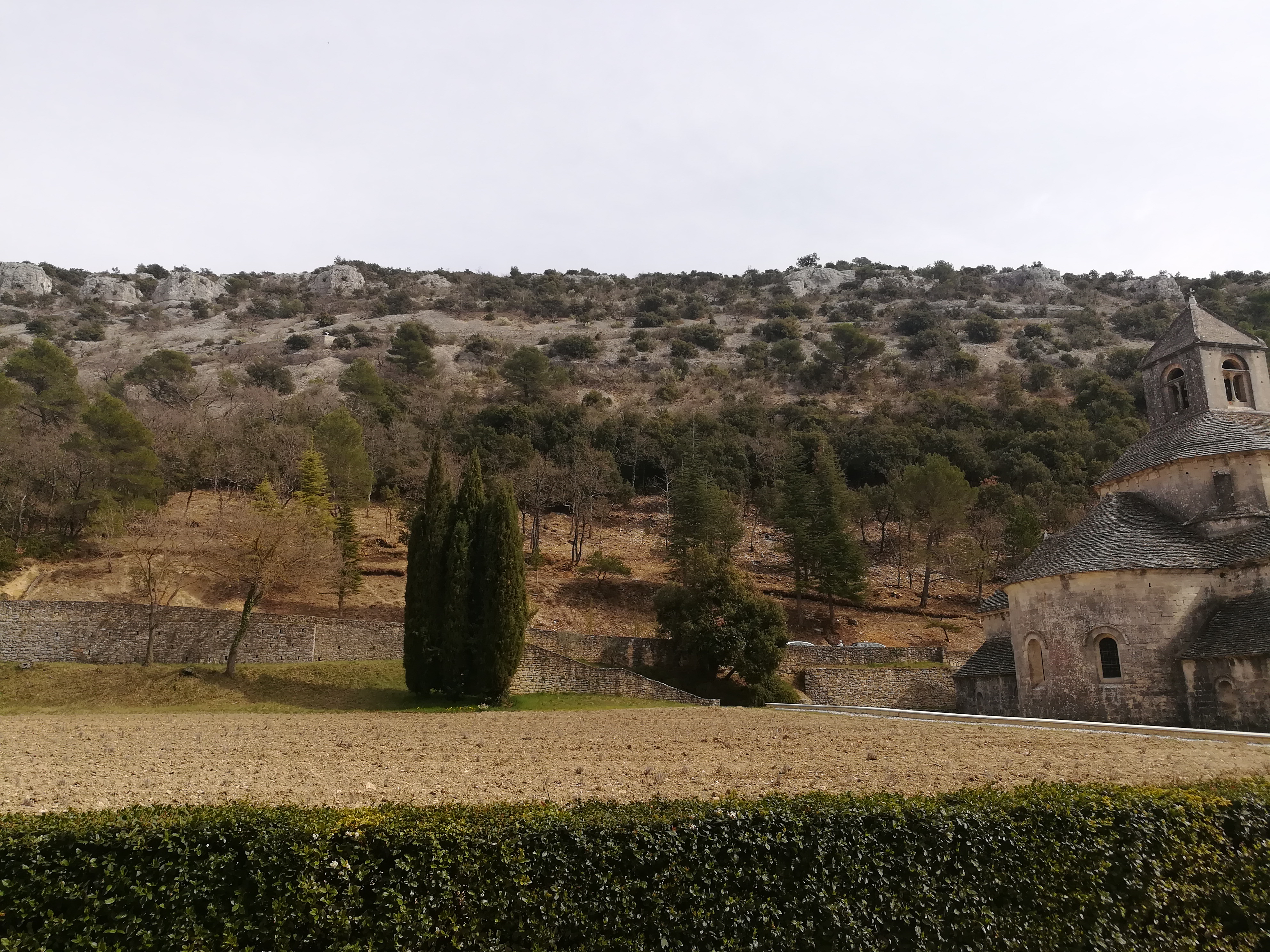 Photo n° 9 de l'avis de A. fait le 09/04/2019 à 14:30