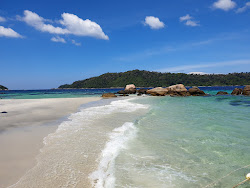 Maymun Plajı'in fotoğrafı plaj tatil beldesi alanı
