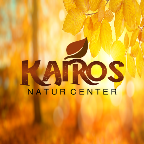 Opiniones de Centro Naturista Kairos en Los Olivos - Centro naturista