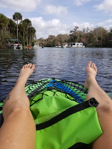 National Forest «Ocala National Forest», reviews and photos, FL-40, Silver Springs, FL 34488, USA