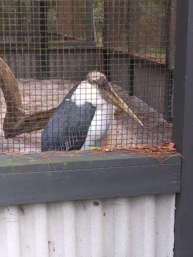 National Forest «Francis Marion National Forest», reviews and photos, 2967 Steed Creek Rd, Huger, SC 29450, USA