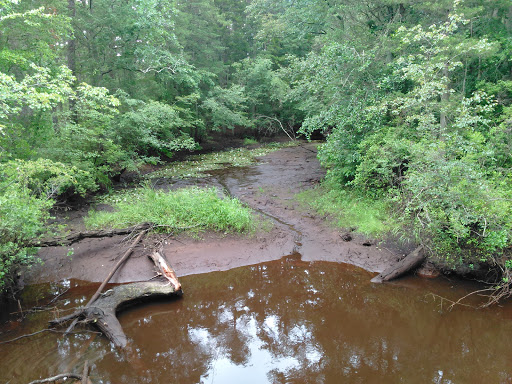 Public Golf Course «Hamilton Trails Golf Club», reviews and photos, 620 Harbor Ave, Mays Landing, NJ 08330, USA