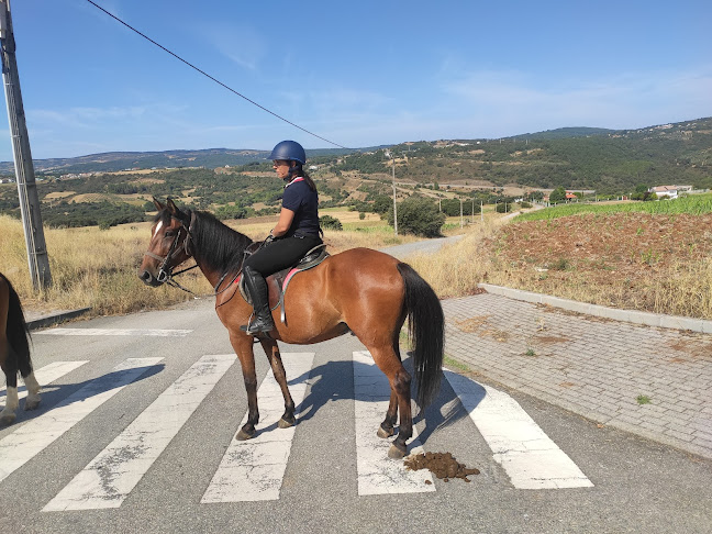Associação Equestre de Bragança - Braganza