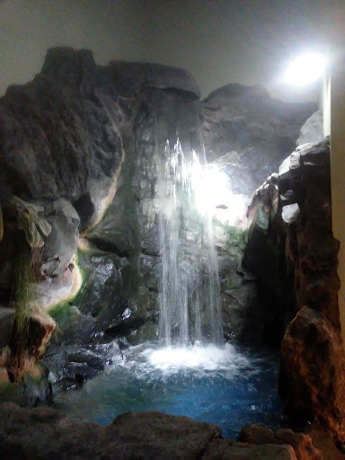 Pet Store «Incredible Pets Inc», reviews and photos, 2255 N Wickham Rd # 102, Melbourne, FL 32935, USA