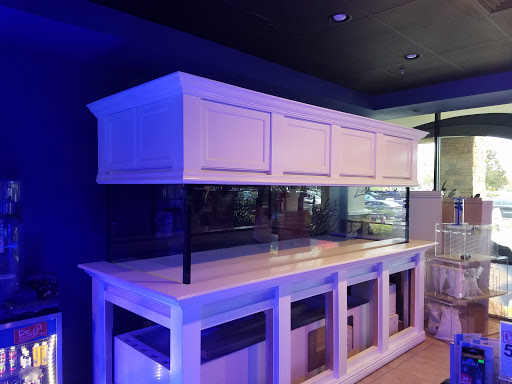 Moving and Storage Service «Big Man Movers», reviews and photos, 10749 Sunrise Terrace Dr, Orlando, FL 32825, USA