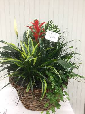 Florist «Flower Patch», reviews and photos, 4370 300 W, Salt Lake City, UT 84107, USA