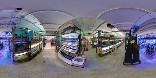 Pet Store «Forest Lake Pets», reviews and photos, 120 Lake St N, Forest Lake, MN 55025, USA