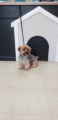 Pretty Paws By Danielle