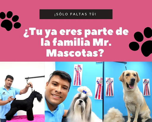 Mr. Mascotas peluqueria canina