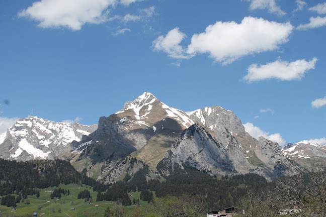 Galluszentrum Wildhaus - Buchs