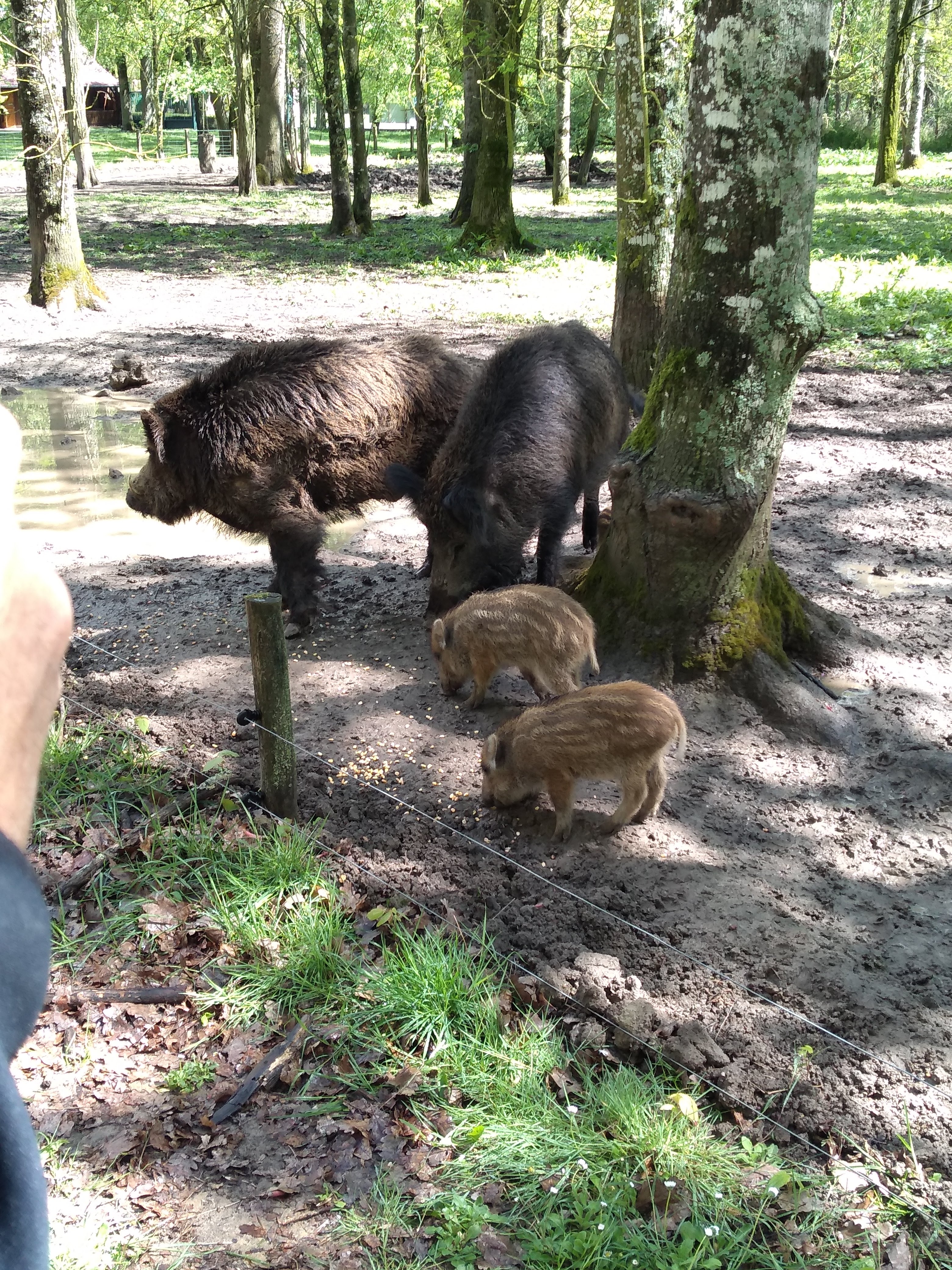 Photo n° 1 de l'avis de L..� fait le 25/04/2019 à 13:14